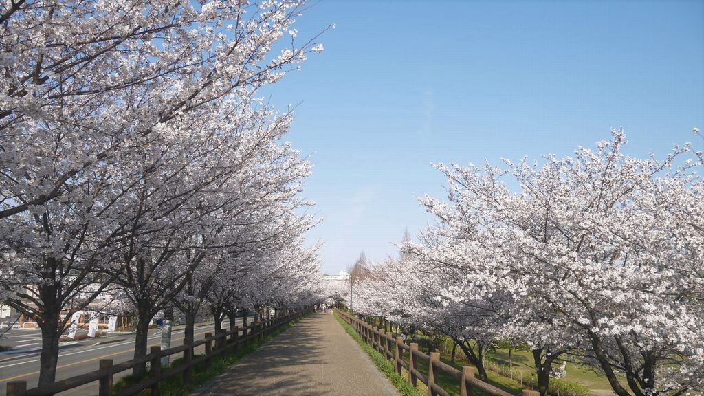 🏞️ 우치아게가와 치수녹지 (우치아게가와치스이료쿠치)